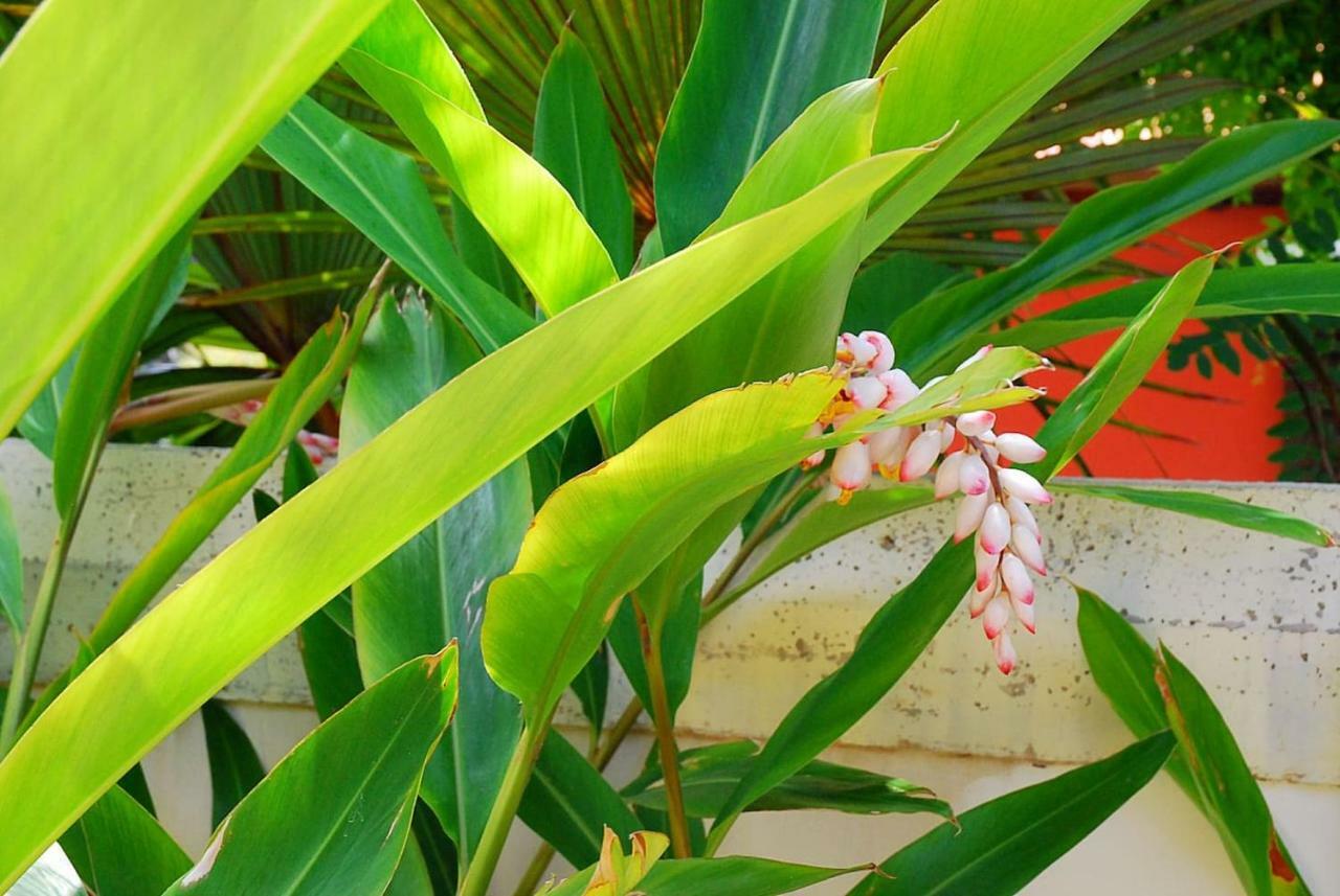 House Sea View Private Garden, 5 People, Optical Fiber Villa Puerto de la Madera Buitenkant foto